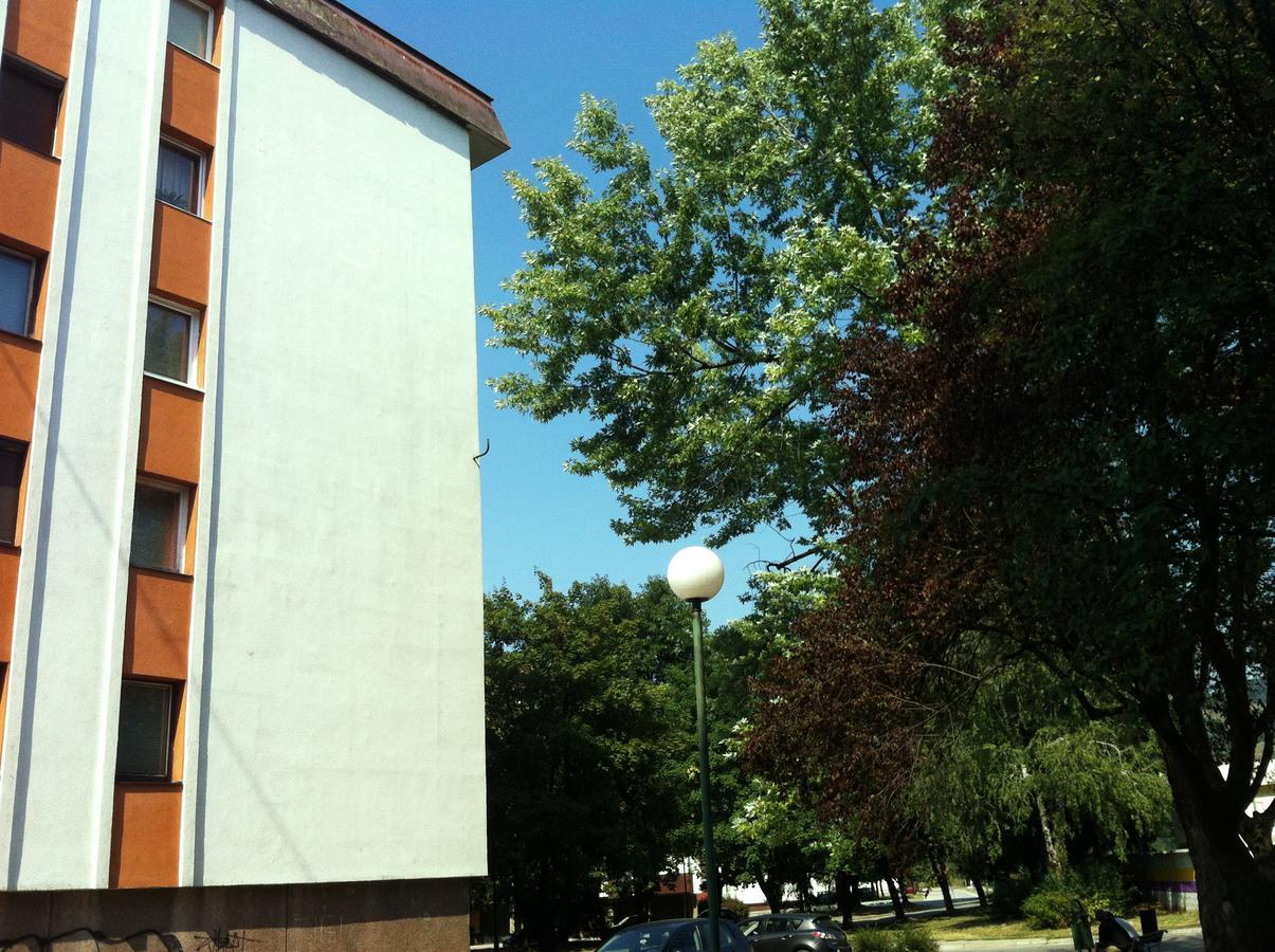 Apartment 10 Високо Стая снимка